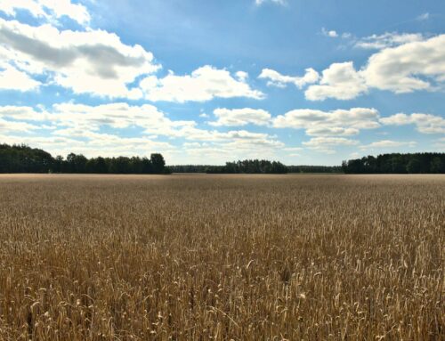 Von Bassum nach Hamburg